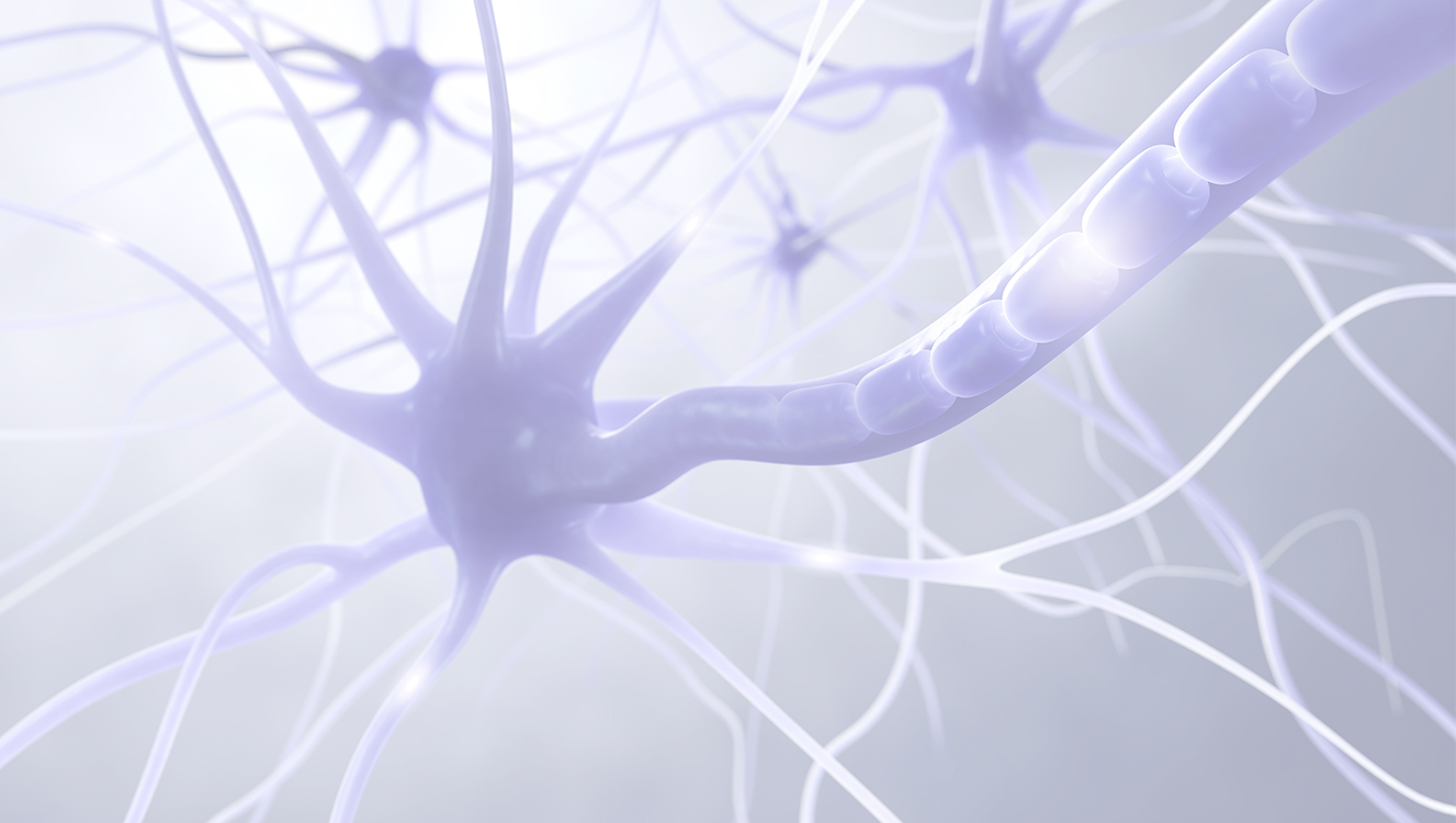 Neuroscience Cellular Resolution Optogenetics Mightex