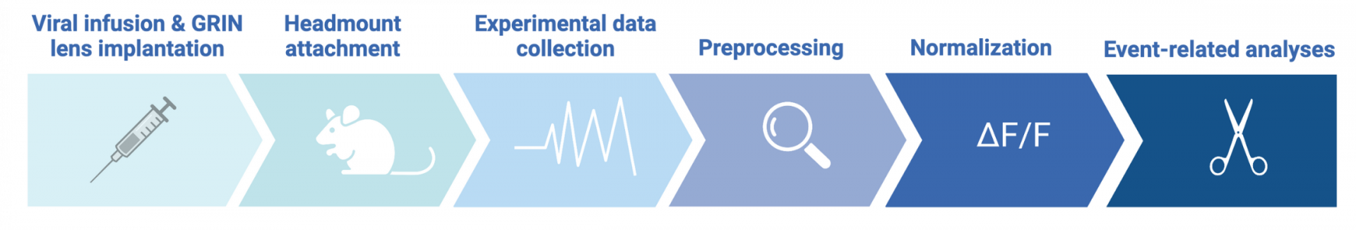 OASIS Implant: Freely-Behaving Optogenetics and Imaging | Mightex